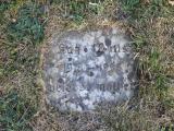 image of grave number 363416